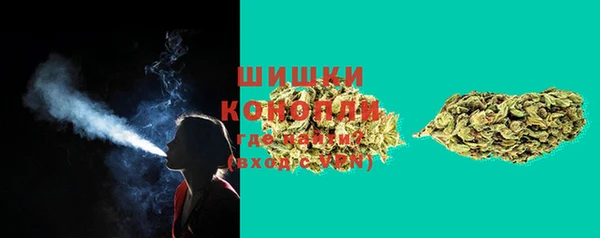 apvp Новозыбков