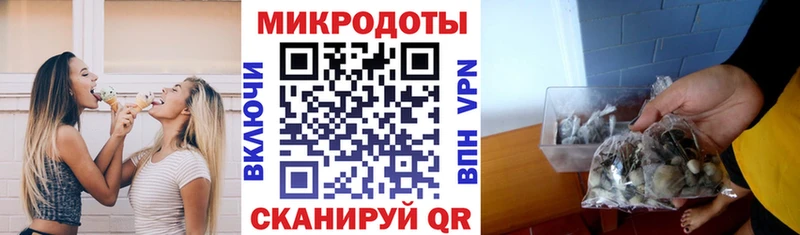 Галлюциногенные грибы Cubensis Луза